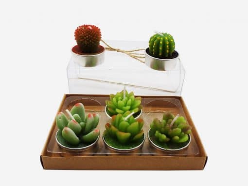 Vela Cactus x 6