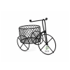 Bicicleta Souvenir