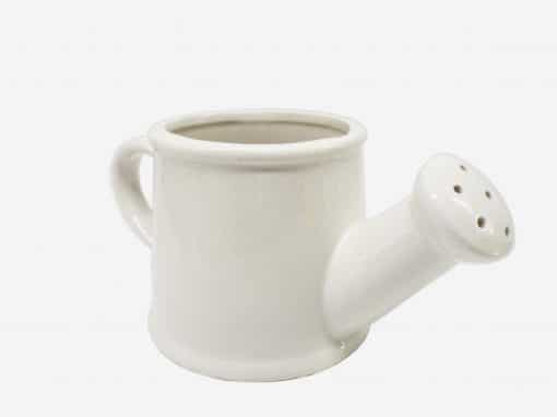 Regadera Ceramica