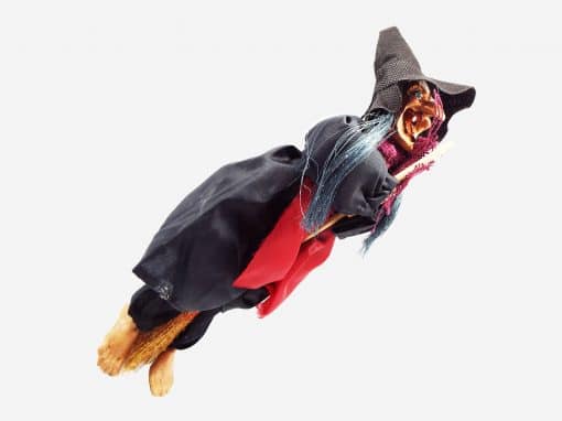 Bruja con Escoba