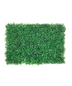 Pasto 40x60