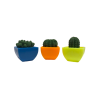 Biogel Cactus x48