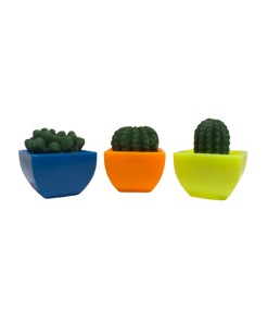 Biogel Cactus x48