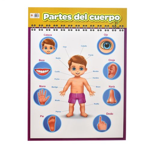Lámina Varios Diseños