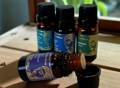 Esencias de Hornillo Aromanza 10 ml x12 - Imagen 2