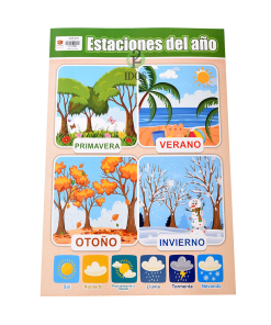 Lámina Didáctica Chica