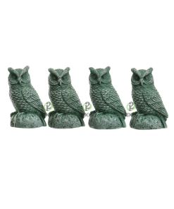 Lechuza x4 Verde